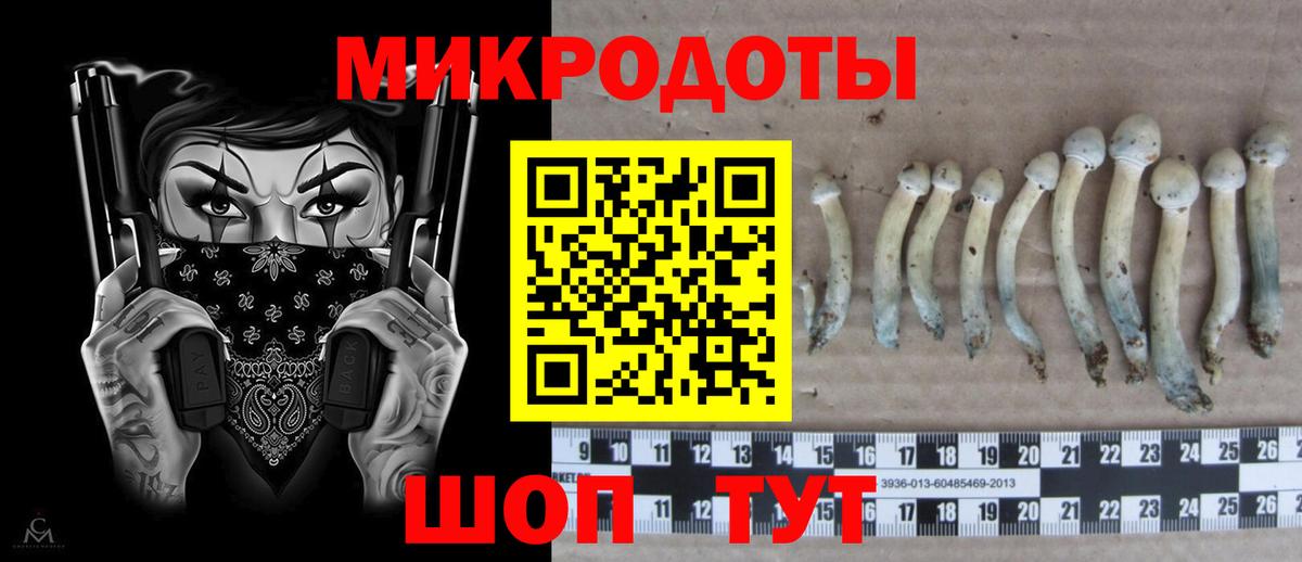 где можно купить   Галлюциногенные грибы GOLDEN TEACHER  Вход с VPN  Майский 