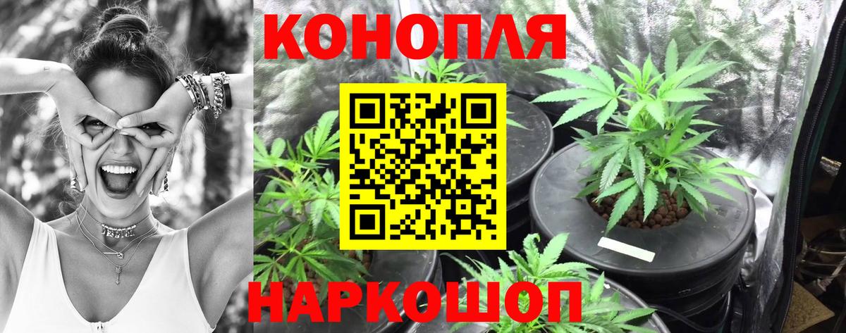 Бошки Шишки индика Майский